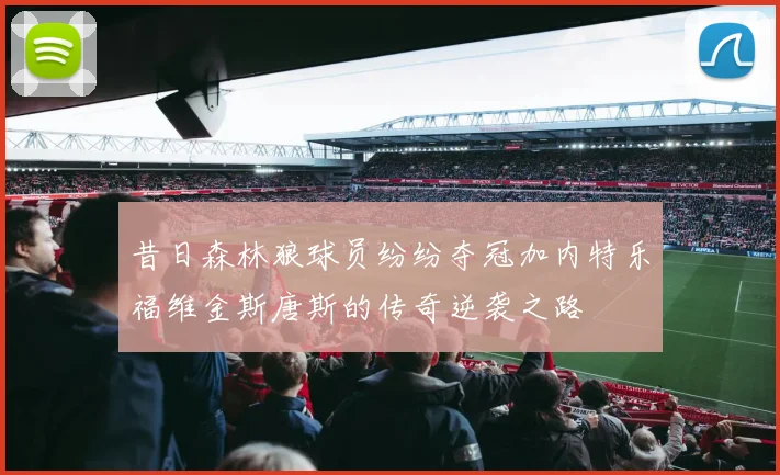 昔日森林狼球员纷纷夺冠加内特乐福维金斯唐斯的传奇逆袭之路