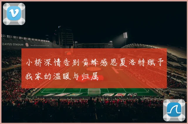 小桥深情告别黄蜂感恩夏洛特赋予我家的温暖与归属